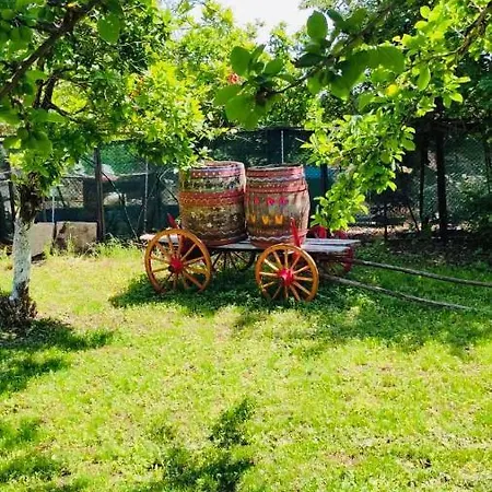 Szálloda семеен свети георги *