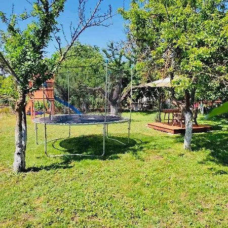 семеен свети георги Kavarna